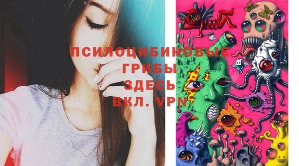 не бодяженный Гусев