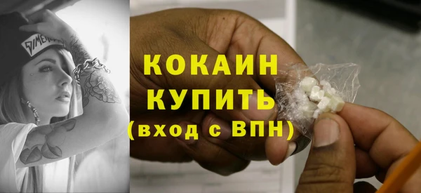 не бодяженный Гусев