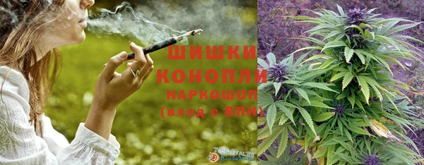 ГАЛЛЮЦИНОГЕННЫЕ ГРИБЫ Гусиноозёрск
