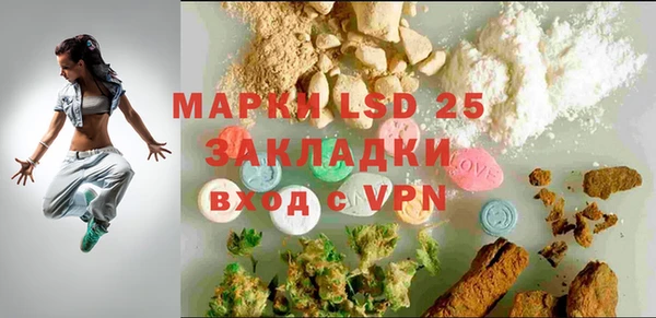 ГАЛЛЮЦИНОГЕННЫЕ ГРИБЫ Гусиноозёрск