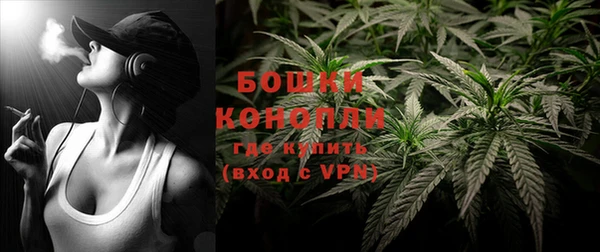 винт Гусь-Хрустальный
