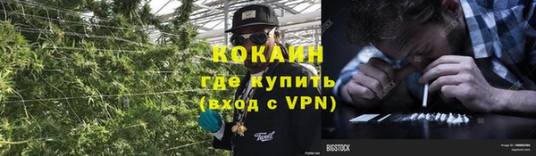 не бодяженный Гусев