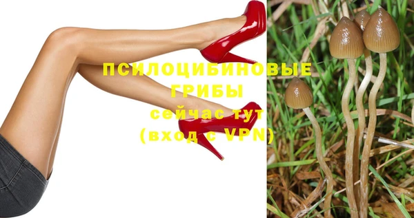ГАЛЛЮЦИНОГЕННЫЕ ГРИБЫ Гусиноозёрск